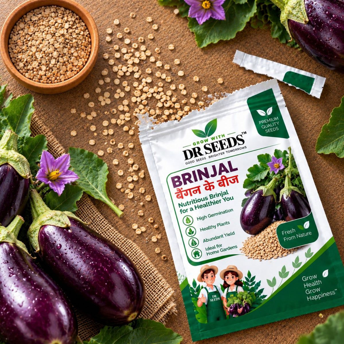 DR Seeds Brinjal Seeds — Opened Packet Lifestyle