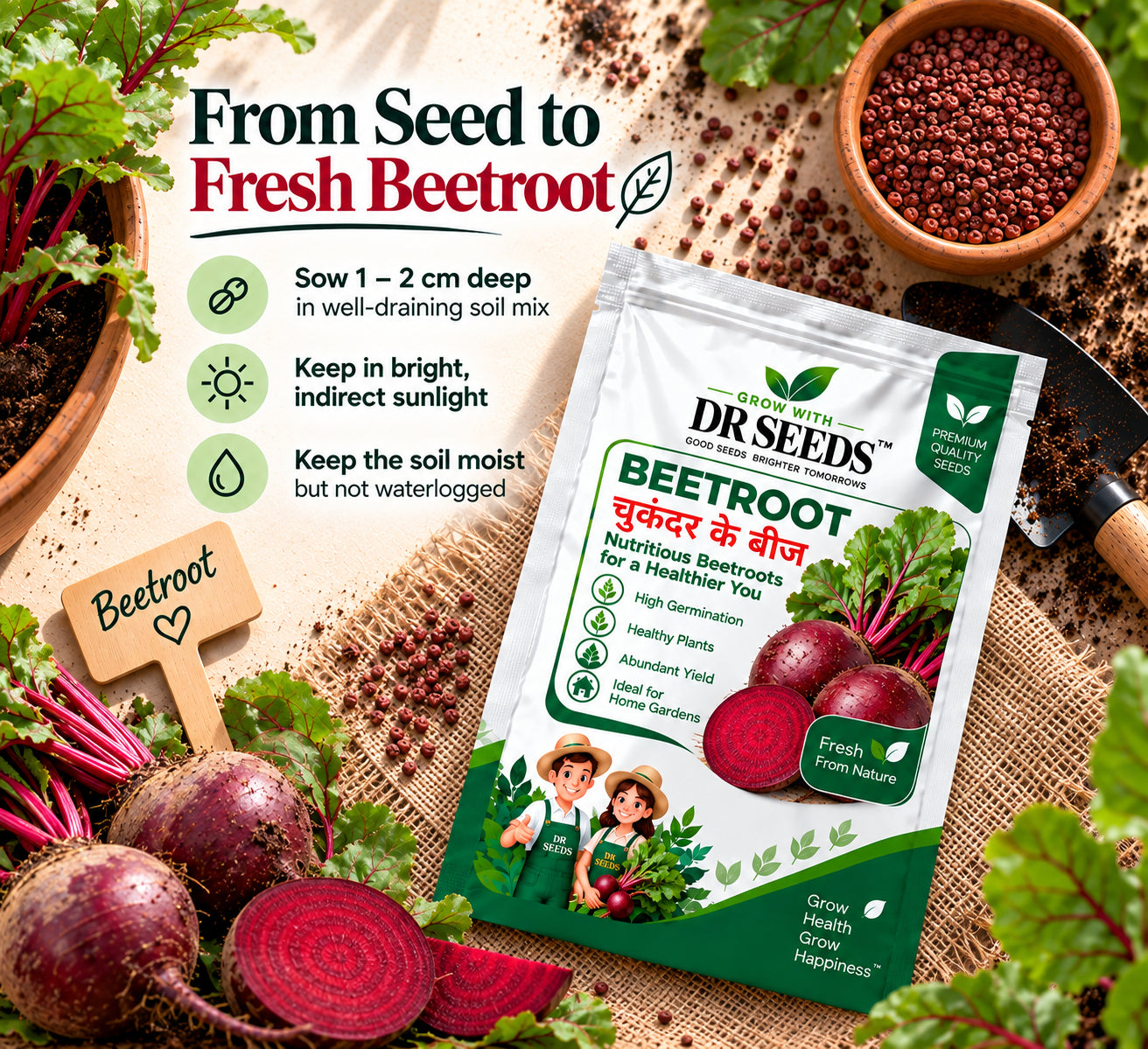 DR Seeds Beetroot — From Seed to Fresh Beetroot